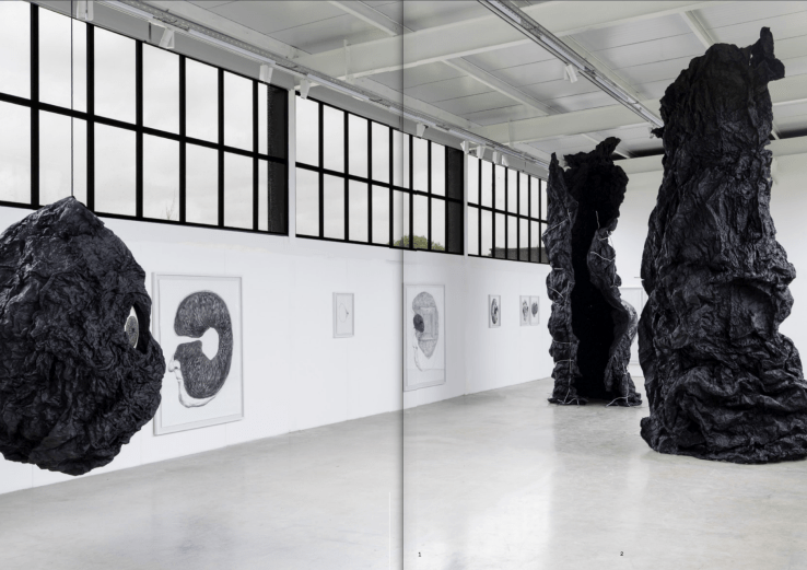 Screen Shot 2024-02-01 at 11.37.09